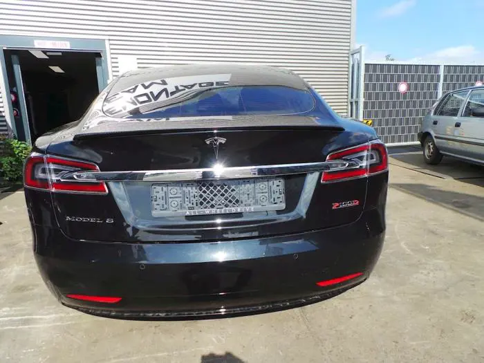 Mangueta izquierda detrás Tesla Model S