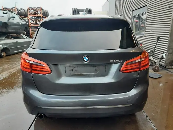 Mecanismo de cierre del portón trasero BMW 2-Serie
