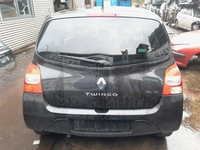 Juego de amortiguadores de gas del portón trasero Renault Twingo