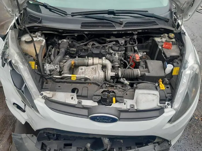 Filtro de hollín Ford Fiesta