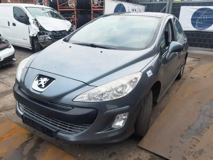 Panel frontal Peugeot 308
