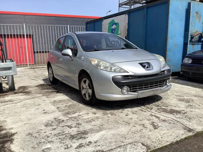 Panel frontal Peugeot 207