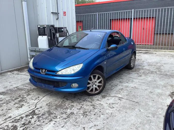 Panel frontal Peugeot 206